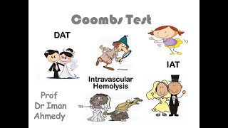 Coombs test [upl. by Atnuahs622]