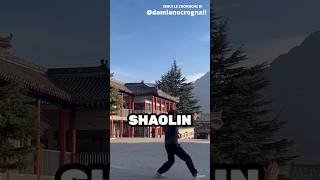 ALLENARSI AL KUNG FU AL TEMPIO DEI MONACI SHAOLIN IN CINA [upl. by Emolas]