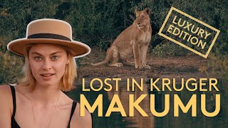 LUXURY safari in KRUGER  Makumu in the Klaserie 4K [upl. by Bihas]