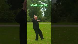 La forme de la Terre 32è posture nature martialarts taichichuan [upl. by Opiak]