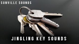 1 Hour of Jingling Keys  Funny Sounds with Peter Baeten [upl. by Elak]