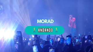 MORAD  AndandoðŸš¶â€â™‚ï¸ðŸŽµðŸ¦Ž Concierto en Teatro Coliseo [upl. by Ennaxxor691]