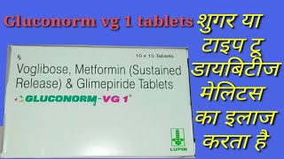 Gluconorm vg1 tablets  compositionusesdose and side effects [upl. by Eenel581]