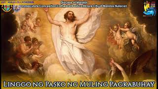 Malolos Cathedral Live Stream  Mass for Easter Sunday [upl. by Annis]