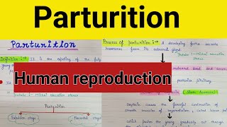 What is parturition  Human reproduction parturition [upl. by Fried535]