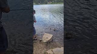 Catching a Rainbow Trout  Haviland Lake Colorado Fishing [upl. by Ab986]