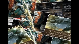 Warframe Primed Chamber Vectis Riven Build [upl. by Asilat855]