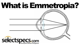 What is Emmetropia  With SelectSpecscom [upl. by Schwartz550]