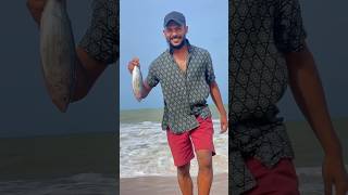 Fish kottu කමූ 😋 shorts [upl. by Savior6]