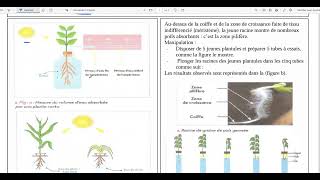 68Limportance de leau et des sels minéraux pour les plantes vertes [upl. by Fiske136]