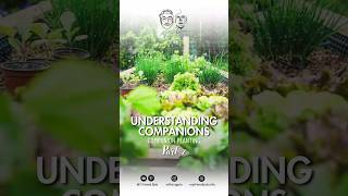 Pair Your Plants Right Simple Companion Planting Tips  Part 2 gardening companionplanting [upl. by Anaugahs]