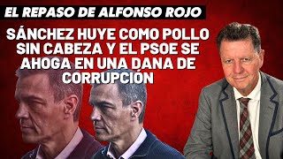 Alfonso Rojo “Sánchez huye como pollo sin cabeza y el PSOE se ahoga en una DANA de corrupción” [upl. by Llerrod]