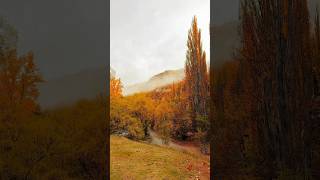 Arrowtown A Hidden Autumn Wonderland [upl. by Mercorr]