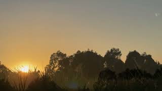 Mawson Lakes Sunrise [upl. by Converse]