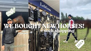 BUYING OUR NEW HORSES amp TACK SHOPPING TRIP [upl. by Vinnie232]