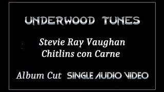 Stevie Ray Vaughan and Double Trouble  Chitlins con Carne  1991  Single Audio Video [upl. by Aioj]