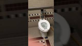 Overflowing toilet at my school [upl. by Cochran955]