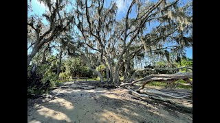 Skidaway Island State Park SD 480p [upl. by Ttenneb]