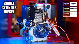 Single Cylinder Diesel Engine  Dyno Test Diesel BioDiesel amp HydroDiesel How Much HP [upl. by Ydner]