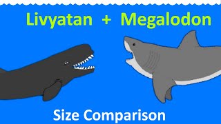 Livyatan and Megalodon  Animated Size Comparison  extinct whale and shark Sea Monsters [upl. by Jamaal]