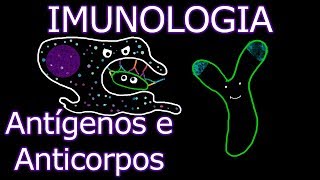 Aula Imunologia  Antígenos e Anticorpos  Imunologia 7 [upl. by Norreht]