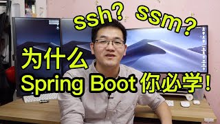 为什么Spring Boot才是你该学的学java找工作必会技能在职程序员带你梳理JavaEE框架 [upl. by Karyn143]