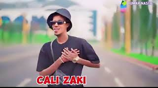 Cali zaki hees raab macaan waad mahad santahay official video cumar nasiib 2024q [upl. by Bauske439]