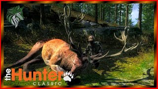 Monster Red Deer Hunting On Val Des Bois With The 30 R OU Rifle theHunter Classic [upl. by Nassir]