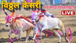 विठ्ठल केसरी बैलगाडा शर्यत कातरखटाव Live  Bailgada Sharyat Katarkhatav live BailgadaSharyatLive [upl. by Av197]