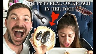 HUSBAND PUTS COCKROACH amp SCORPION IN WIFES FOOD PRANK [upl. by Yenaffit805]