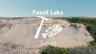 Fossil Lake Safari  Fossil Hunting Adventure Of A Lifetime  Kemmerer Wyoming [upl. by Coppins]