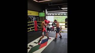 Milan quotEl Metodicoquot Melindo 10 boxingtechnique milanmelindo trendingshorts trending [upl. by Leverett]