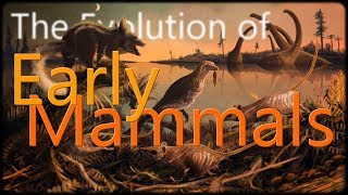 The Evolution of Early Mammals [upl. by Allayne]