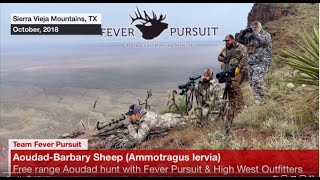 Long Range Aoudad hunt in West Texas [upl. by Pembroke569]