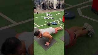 Tiger pushups pushups pushupchallenge pushupseveryday pushup sports calistenia triceps [upl. by Odidnac]