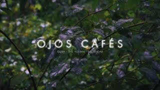 OJOS CAFÉS  Cuba ft The Yulian amp Escandar Video Oficial [upl. by Garneau]