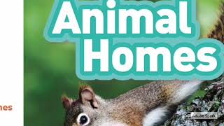 National Geographic Kids Readers Animal Homes Prereader [upl. by Brandea97]