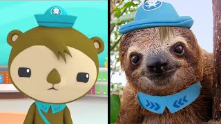 Shellington In Real Life Octonauts [upl. by Leumhs]