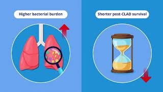 Bacterial Burden in CLAD Patients Predicts Survival and Azithromycin Response [upl. by Rebliw]