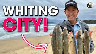 ULTRALIGHT Beach Fishing for WHITING Epic Session ✅ [upl. by Asiralc]