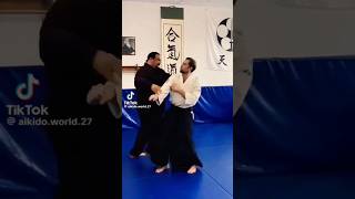 Aikido master amazing skills martial arts extreme stunts hapkido weak points dim mak touch death [upl. by Korey108]