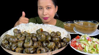 SPICY SNAILS 🐌 CURRY WITH SALAD🔥🔥 EATING SHOW 🥰🥰 [upl. by Desmond125]