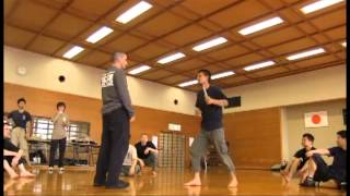 Brendon Zettler Systema Japan March 2012 Tokyo Seminar [upl. by Catlaina]