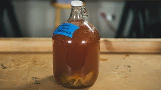 How to Make Your Own Mead [upl. by Yenffad]