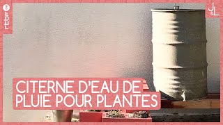 Une citerne deau de pluie pour arroser vos plantes  Jardins et Loisirs [upl. by Maurilia]