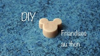 Tuto  Friandises au thon pour chien et chat [upl. by Torbart]