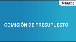 COMISIÓN DE PRESUPUESTO UNPAZ [upl. by Llenrad]