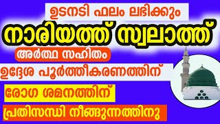 ഉടനെ ഫലം കിട്ടും നാരിയത്ത് സ്വലാത്ത്  Salam Saquafi Vellalasseri [upl. by Aicelaf]