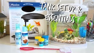 HOW TO SET UP A BETTA FISH TANK  ESSENTIALS [upl. by Marka]