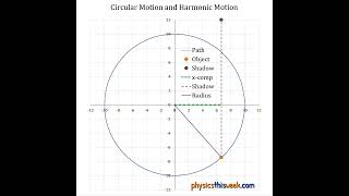 Circular and Harmonic Motion Compared [upl. by Einniw]